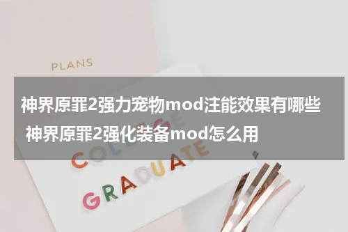 神界原罪2强力宠物mod注能效果有哪些 神界原罪2强化装备mod怎么用