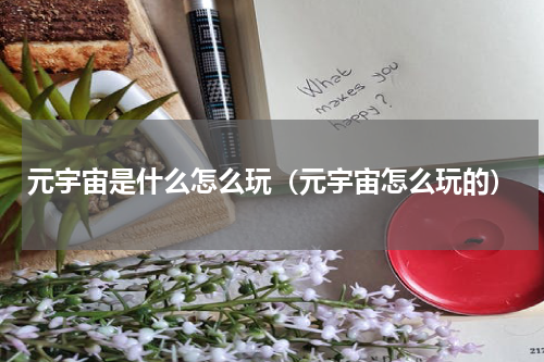 元宇宙是什么怎么玩（元宇宙怎么玩的）