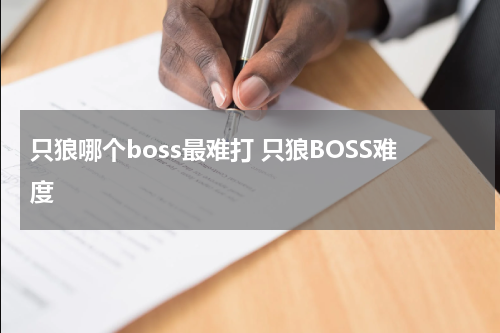 只狼哪个boss最难打 只狼BOSS难度