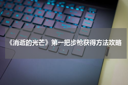 《消逝的光芒》第一把步枪获得方法攻略