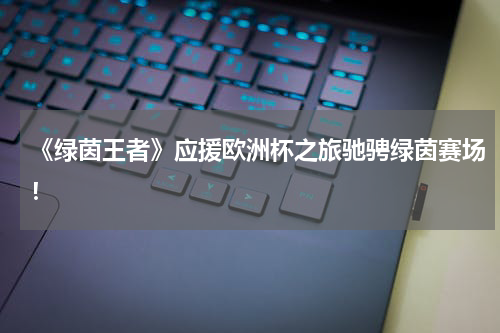 《绿茵王者》应援欧洲杯之旅驰骋绿茵赛场！