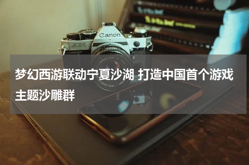 梦幻西游联动宁夏沙湖 打造中国首个游戏主题沙雕群